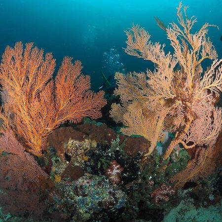 Doubleyou Homestay Pemuteran エクステリア 写真